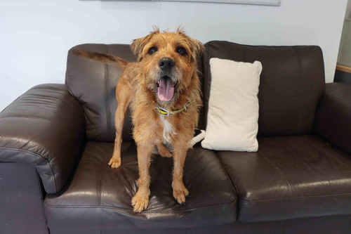 G c2jHUaoAEAYbN?format=jpg.jpg