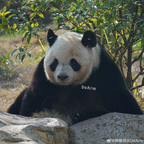 G PFzUAa8AADGGZ?format=jpg.jpg