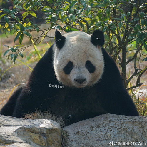 G PFzUAasAAqzZ1?format=jpg.jpg