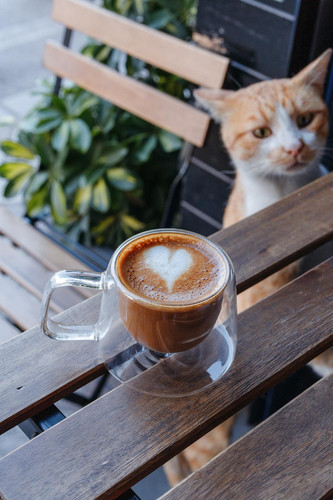 pexels yunustug 29049050.jpg