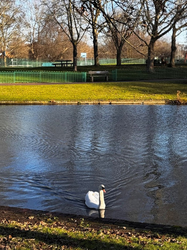 G YcXxRX0AA 99z?format=jpg.jpg