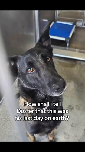 s3 eGHwr2Px2LUXZ.jpg