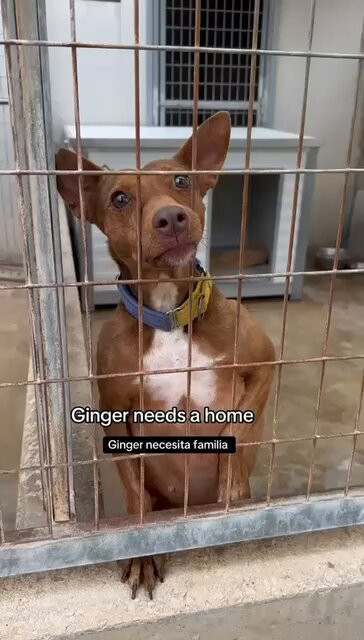 DmSdma BUDCSWAzI.jpg