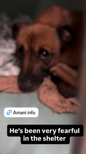 2f oGSd jpE m1K4.jpg