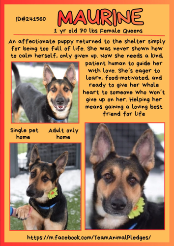 G eD50RbEAAIbcr?format=png.png