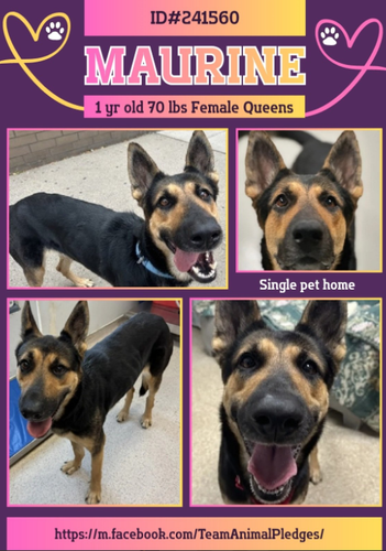 G83Ei3IawAAWD P?format=png.png