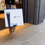 Ogatorealizouosonhodelehumorcataifunnyps5 ezgif.com video to gif converter.gif