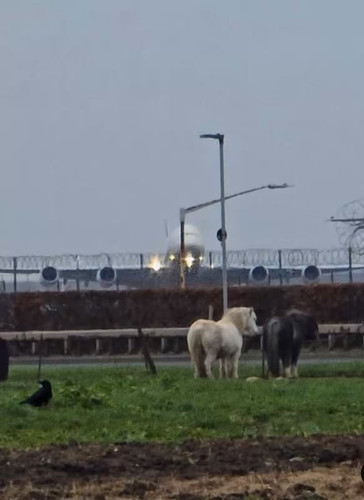 D 9ATc5VC 3HbgD9.jpg