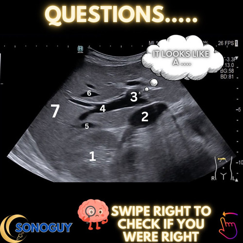 G eNuk7WkAA5r8p?format=jpg.jpg