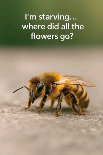 G eTeGpXoAAToaV?format=jpg.jpg