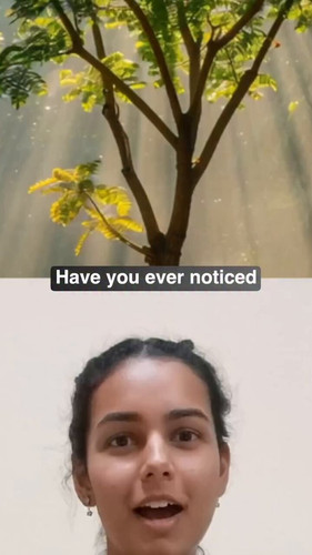 8W2DHN9J ZT0G Zs.jpg