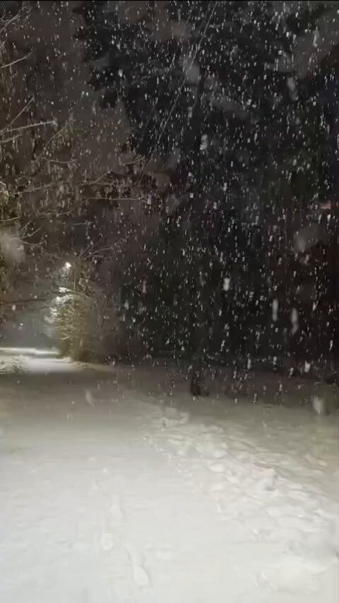 m4FxECeG5C4lIxk .jpg