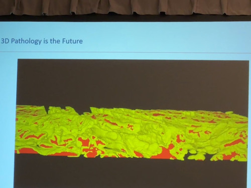 vk zhJeIABEUv7c0.jpg