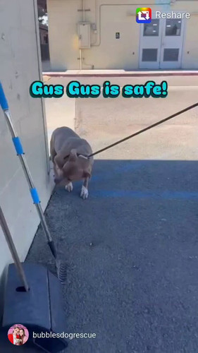 ApX0fDX Eb40qrUQ.jpg