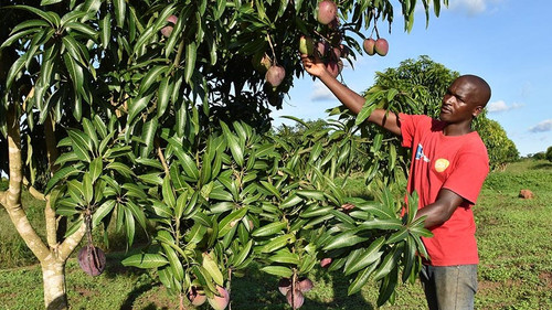 G cWKfmXYAARZcg?format=jpg.jpg