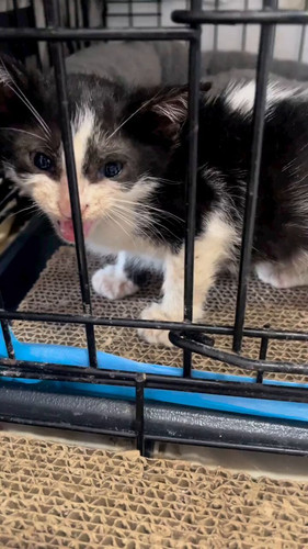 Z4v lPIb33AMDuon.jpg