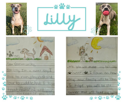 G aDrsYW0AEb0Cx?format=jpg.jpg