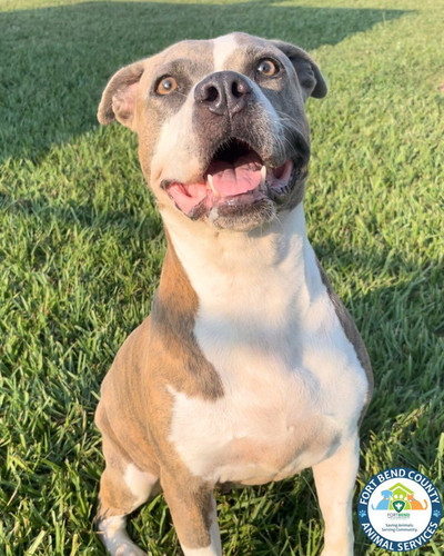 G1KD7mSWcAADIk ?format=jpg.jpg