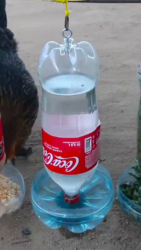 NWZwhwVHre NZwvp.jpg