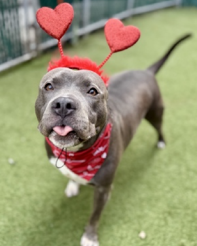 G UBGBLXYAAfRJv?format=png.png