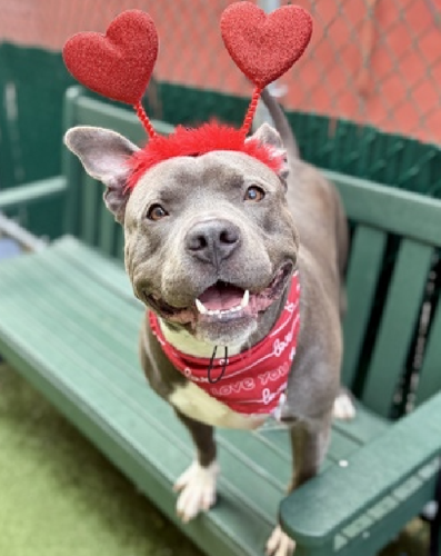 G UBCmVWkAEjxwZ?format=png.png