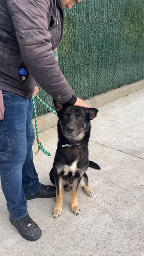 5PlBvPXI 98pUM9w.jpg