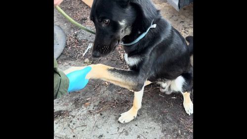 ajf9g93j6 kXcH4e.jpg