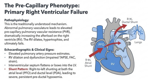 G WzE4wWYAAauZG?format=jpg.jpg