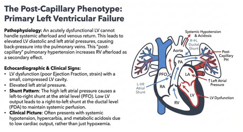 G WzHDPXoAAMpZI?format=jpg.jpg