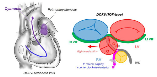 G Tf6JoXwAAIRvV?format=jpg.jpg