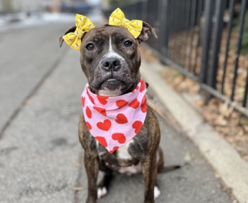 G aezThbAAAsYW ?format=jpg.jpg