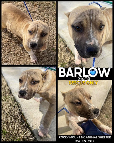 G TbdhoW8AAdF41?format=jpg.jpg