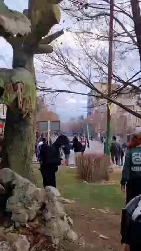 C5dw3wSj JGUpn9u.jpg