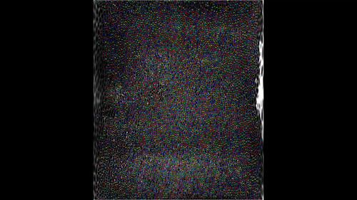 75NC40T4abvaEsnK.jpg