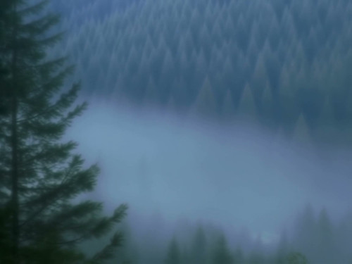 frame horizontal 023.jpg