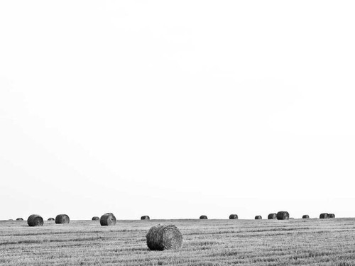 b04eeac0a318.jpg