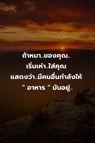 c7da648a0144.webp