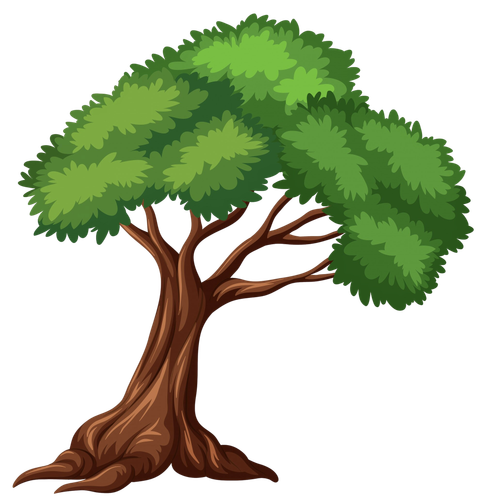 isolated tree white background.png