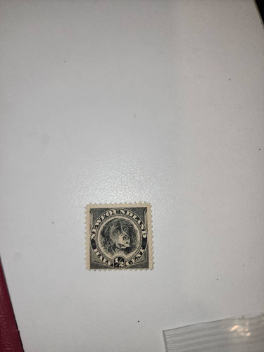 ab63c56bd6f5.jpg