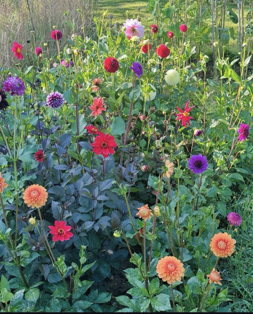 G Xat CXUAAqvWe?format=jpg.jpg