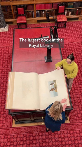 fZ BoPUYxsbQp7y8.jpg