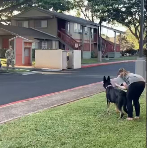 rhMGyKGh8tHOR P .jpg