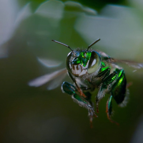 G W7X0nWEAAWpbQ.jpg