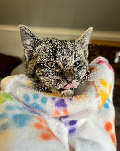 G gXID W0AAFJUB?format=jpg.jpg