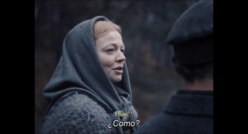 vlcsnap 2026 01 12 20h39m16s718.png