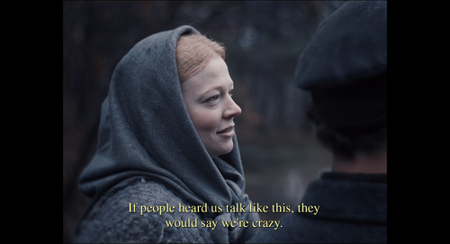 vlcsnap 2026 01 12 20h39m01s195.png