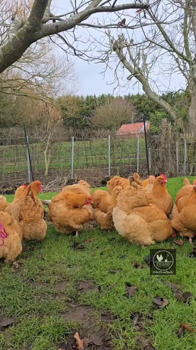 YKQt irzU5DMzWOQ.jpg