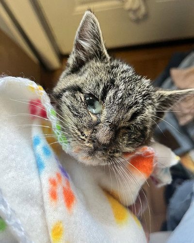 G gXIVKXQAAsq79?format=jpg.jpg