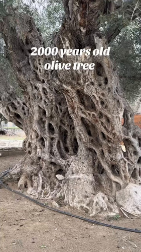 lL yVWUqVR7EYNu0.jpg