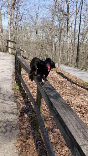 GeOzIdEOeca7AY a.jpg